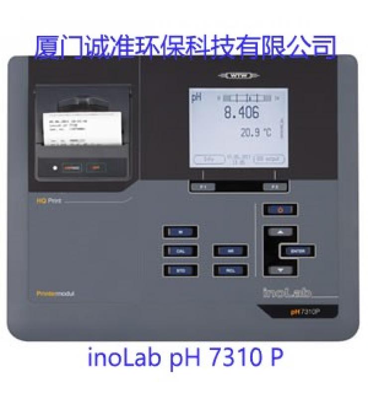 7310P